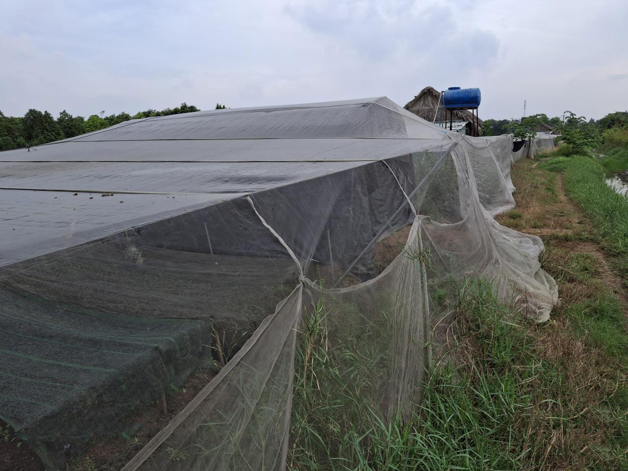 Rẻ! Đất 2.9tr/m² 0.5Ha – Xuân Thới Thượng 2 HM - Ảnh 3